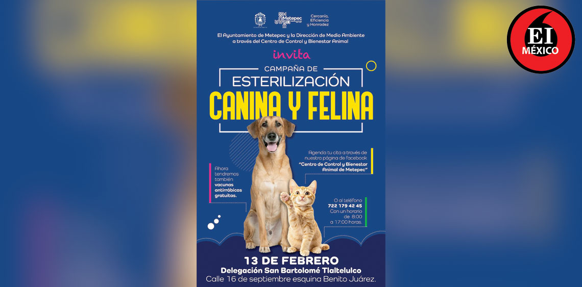 ElInformanteMX's tweet photo. Inicia en #Metepec campaña de #esterilización de #AnimalesSintientes
@FerFlores_Emp ha destacado que estas acciones no son solo medidas de #ControlPoblacional, sino un #ActoDeJusticia para los #SeresSintientes.
Tag: @MetepecGobierno
https://t.co/rWKzzYt5w9 https://t.co/l0siFTUvhu