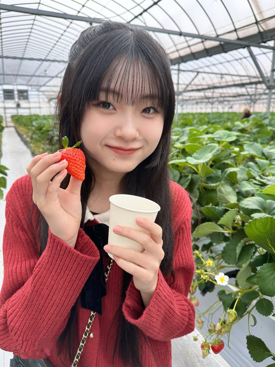 はーちゃん🌙（BLACK†ROSE） (@hzk_830) / Posts / X