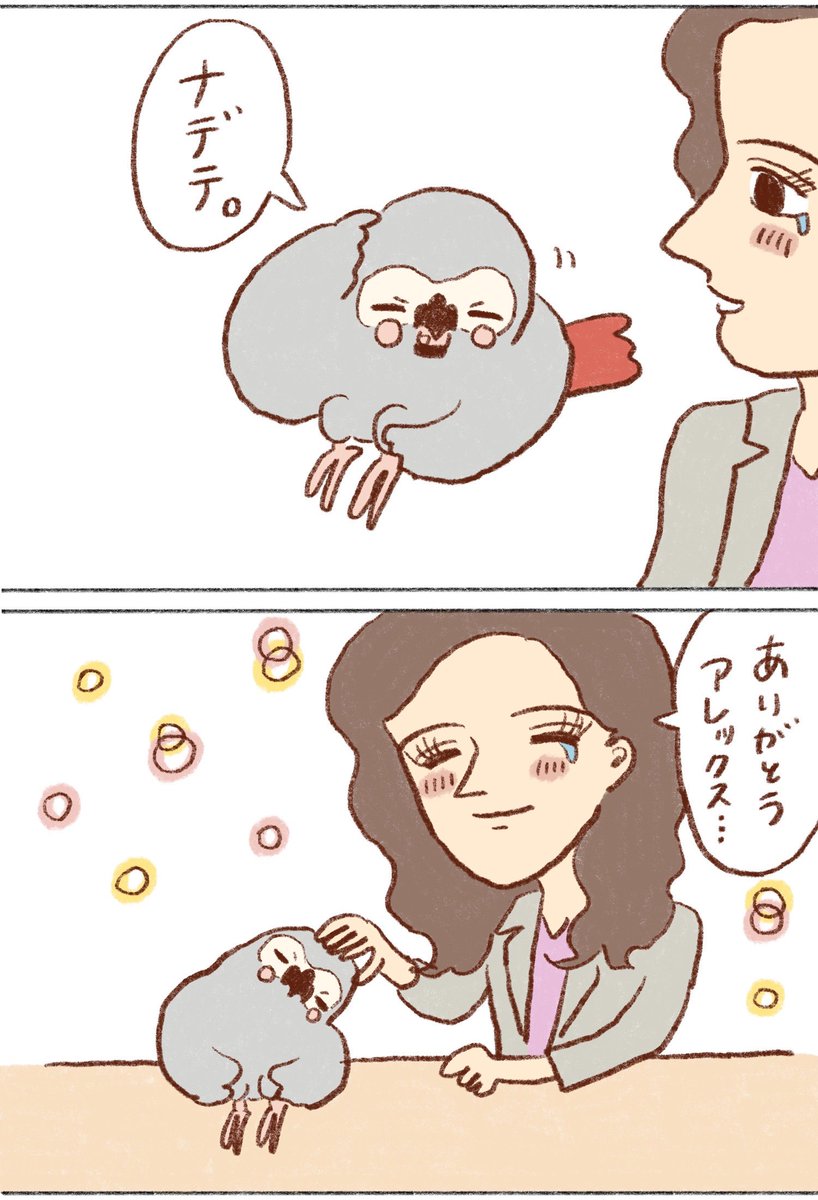 ⑨

#ヨウム 