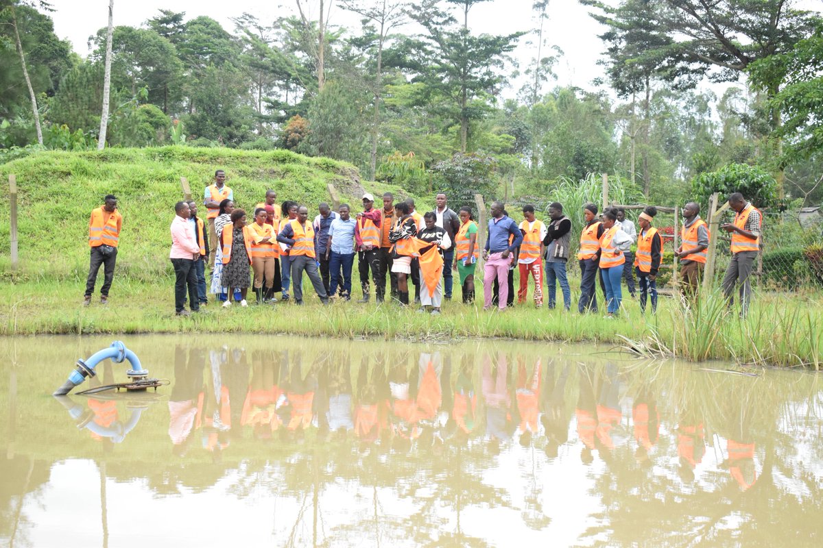 Uganda Solar Energy Association(USEA) tweet media