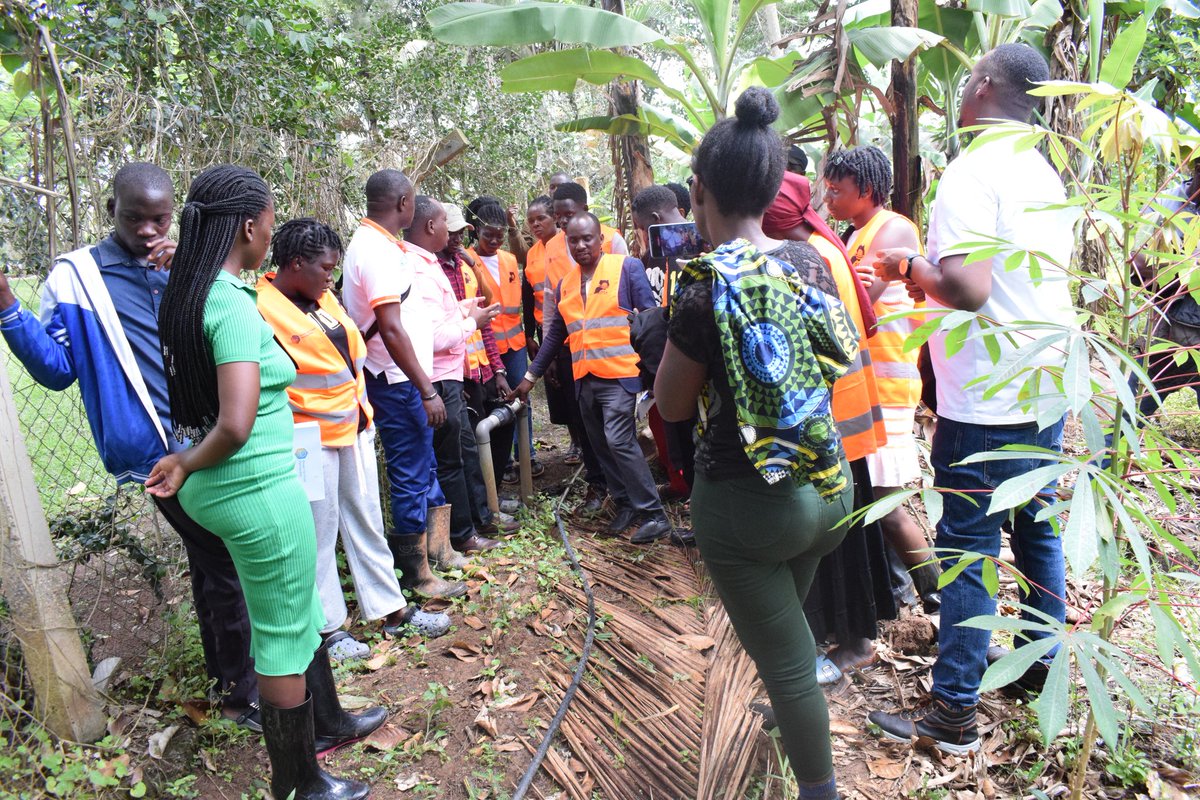 Uganda Solar Energy Association(USEA) tweet media