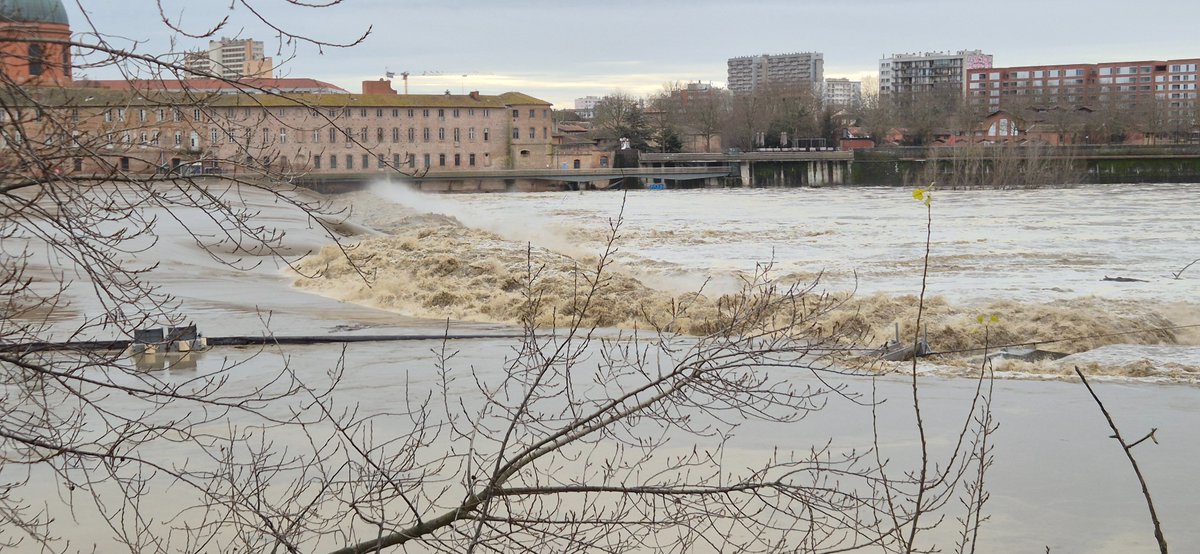 Cycliste toulousain tweet media