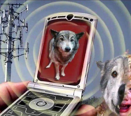 58 humans were turned into wolps today