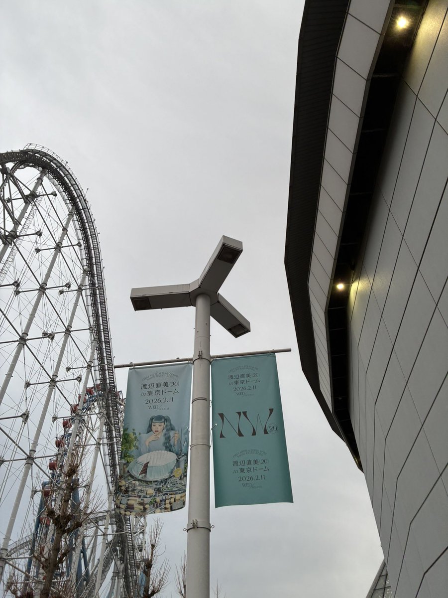 めだまやき🍳 tweet media