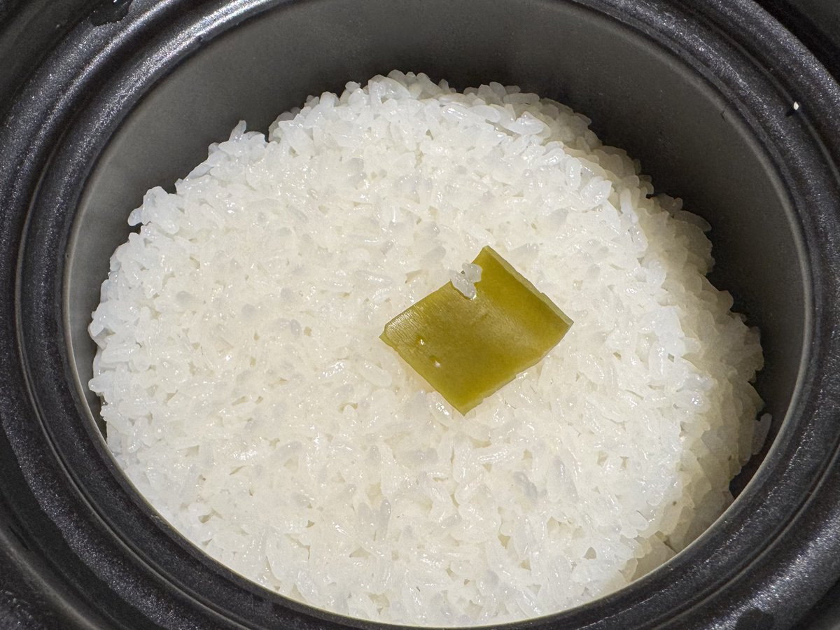 まさやん (@masa_yan0806) / Posts / X