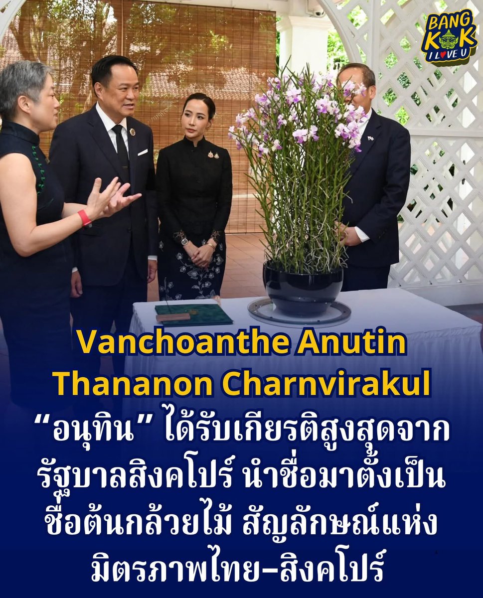 ❤️❤️❤️❤️❤️