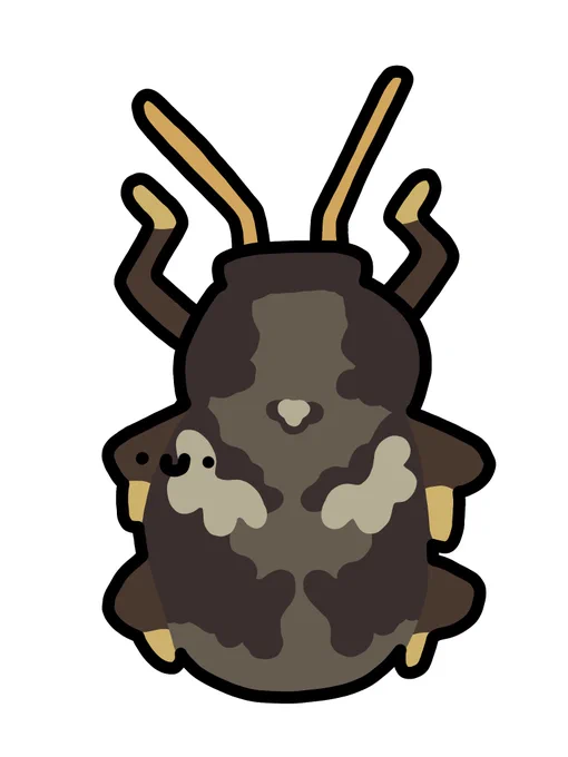 マダラアラゲサルハムシ