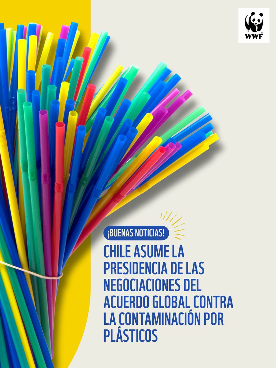 WWF Chile tweet media