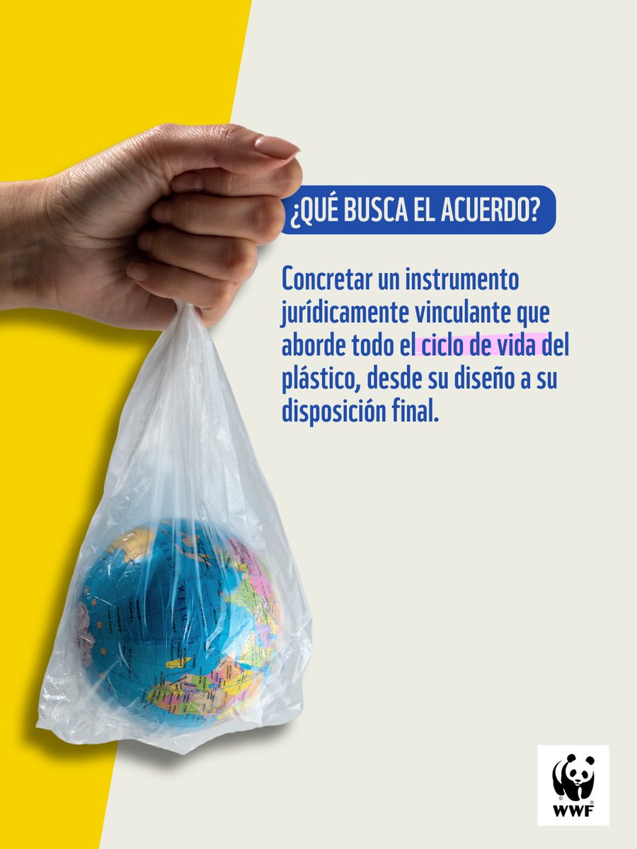 WWF Chile tweet media