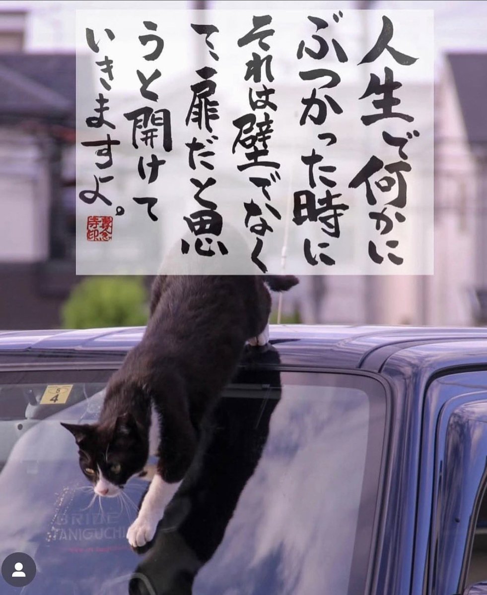 あ、これいいなと思ったからシェアします✨