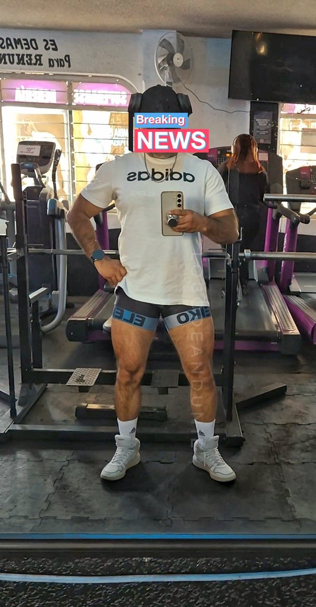 Lobo Plateado de vuelta en Mondstadt tweet media