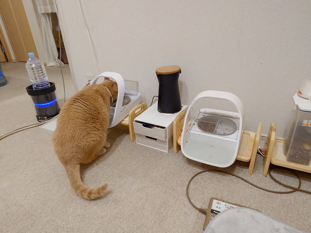 kushiage_ebi's tweet photo. 早いもの順とか、順番待ちとか
うちはそういうシステムじゃないから。
#ふうちゃん #ほのちゃん #SureFeed https://t.co/lv2Avwbtts