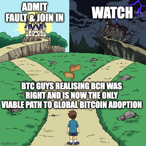 The Bitcoin Cash Podcast tweet media