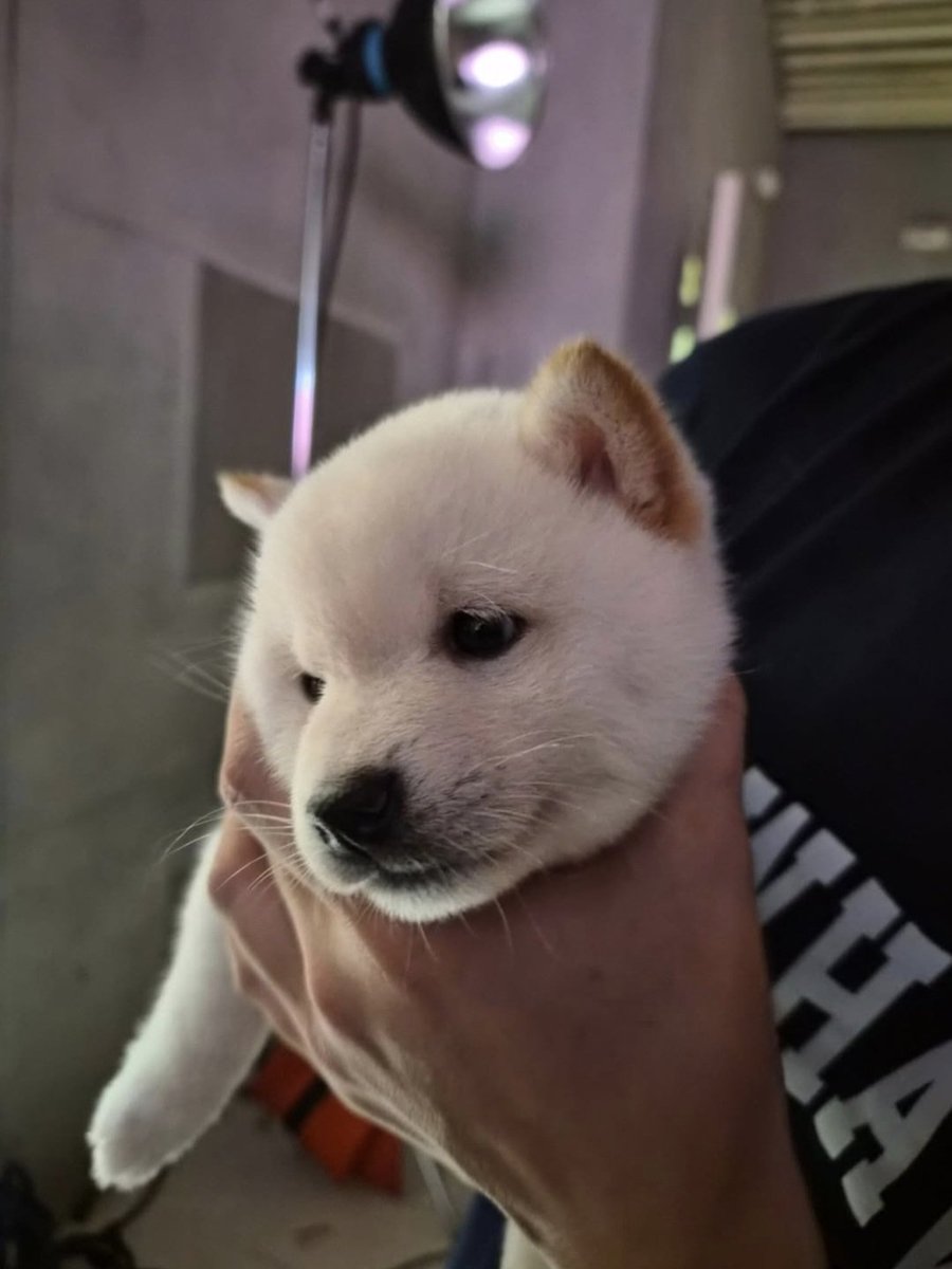 Beomgyu. tweet media