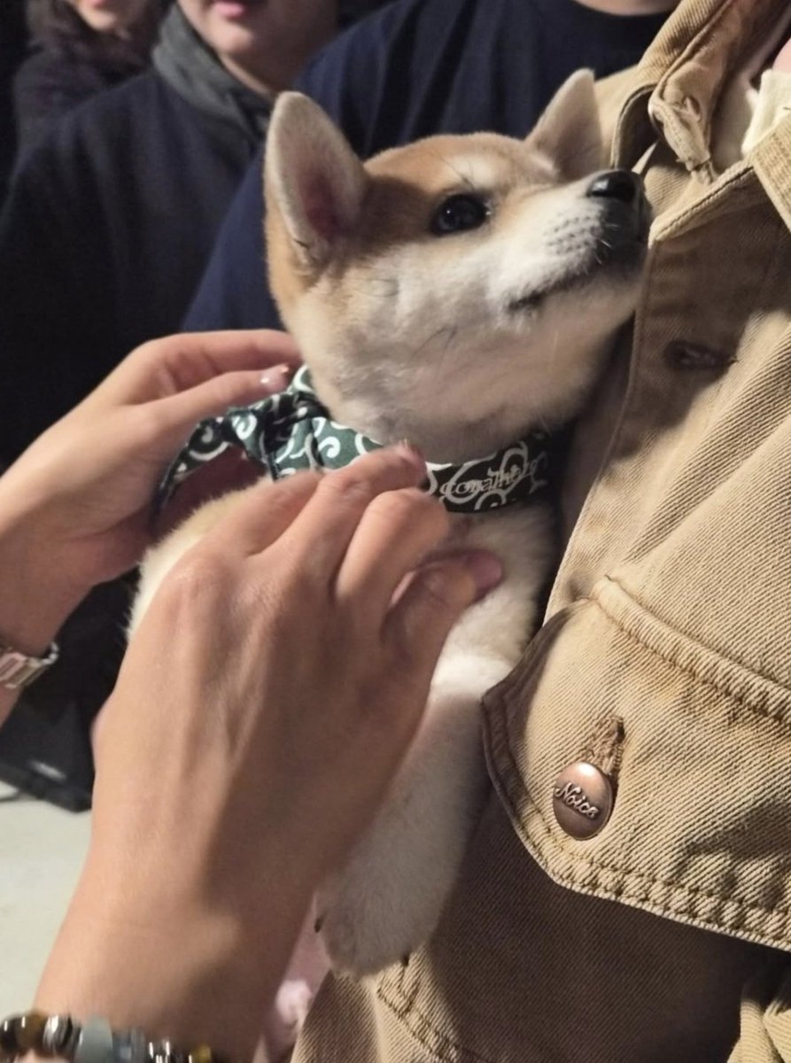 Beomgyu. tweet media