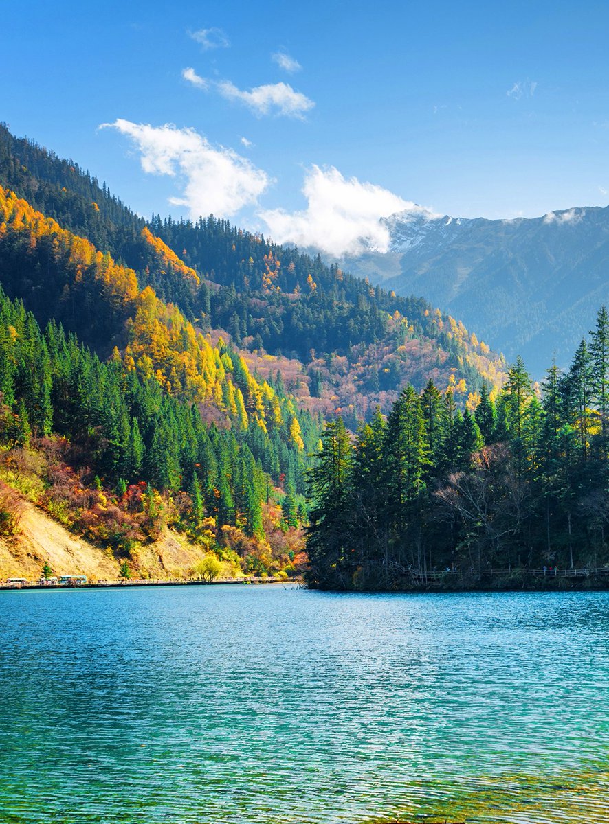 Autumn time around beautiful Arrow Bamboo Lake, located at the Jiuzhaigou National Park in China  🇨🇳