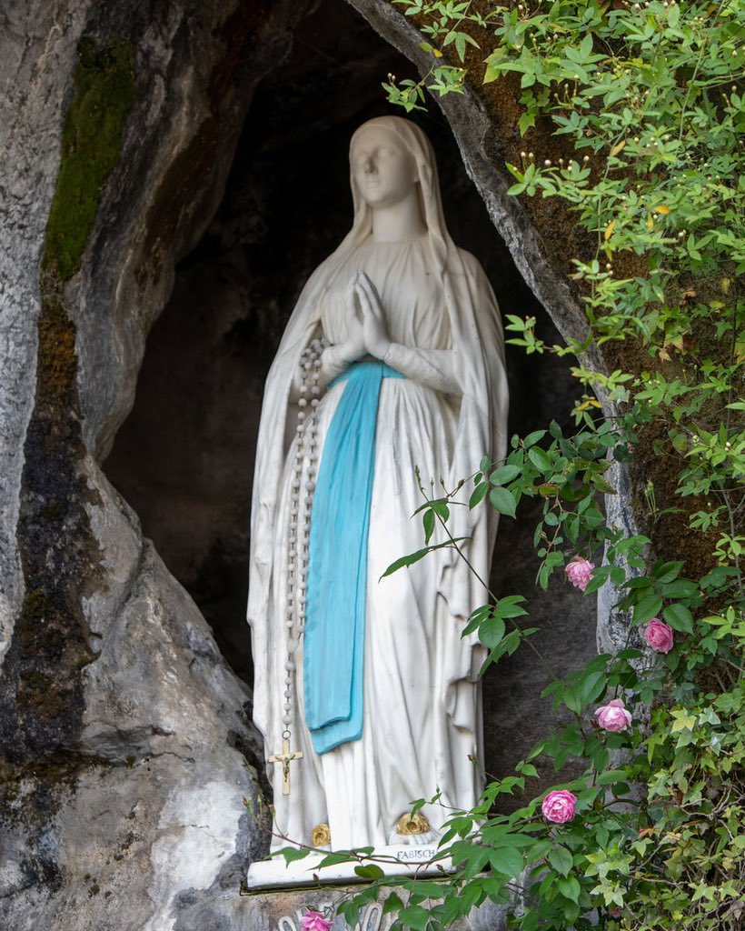 SkyVirginSon's tweet photo. Dios te salve, María,
llena eres de gracia;
el Señor es contigo.
Bendita tú eres entre todas las mujeres,
y bendito es el fruto de tu vientre, Jesús.

Santa María, Madre de Dios,
ruega por nosotros, pecadores,
ahora y en la hora de nuestra muerte.

¡Amén! 🙏 https://t.co/mLbA6PB55n