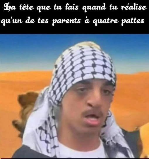 La chaîne du TROLL (@ucdm527507) on Twitter photo 