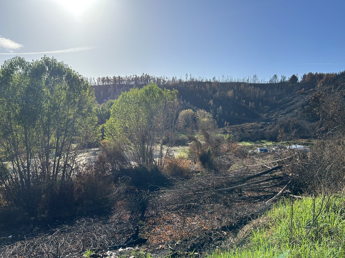 Senapred Biobío tweet media