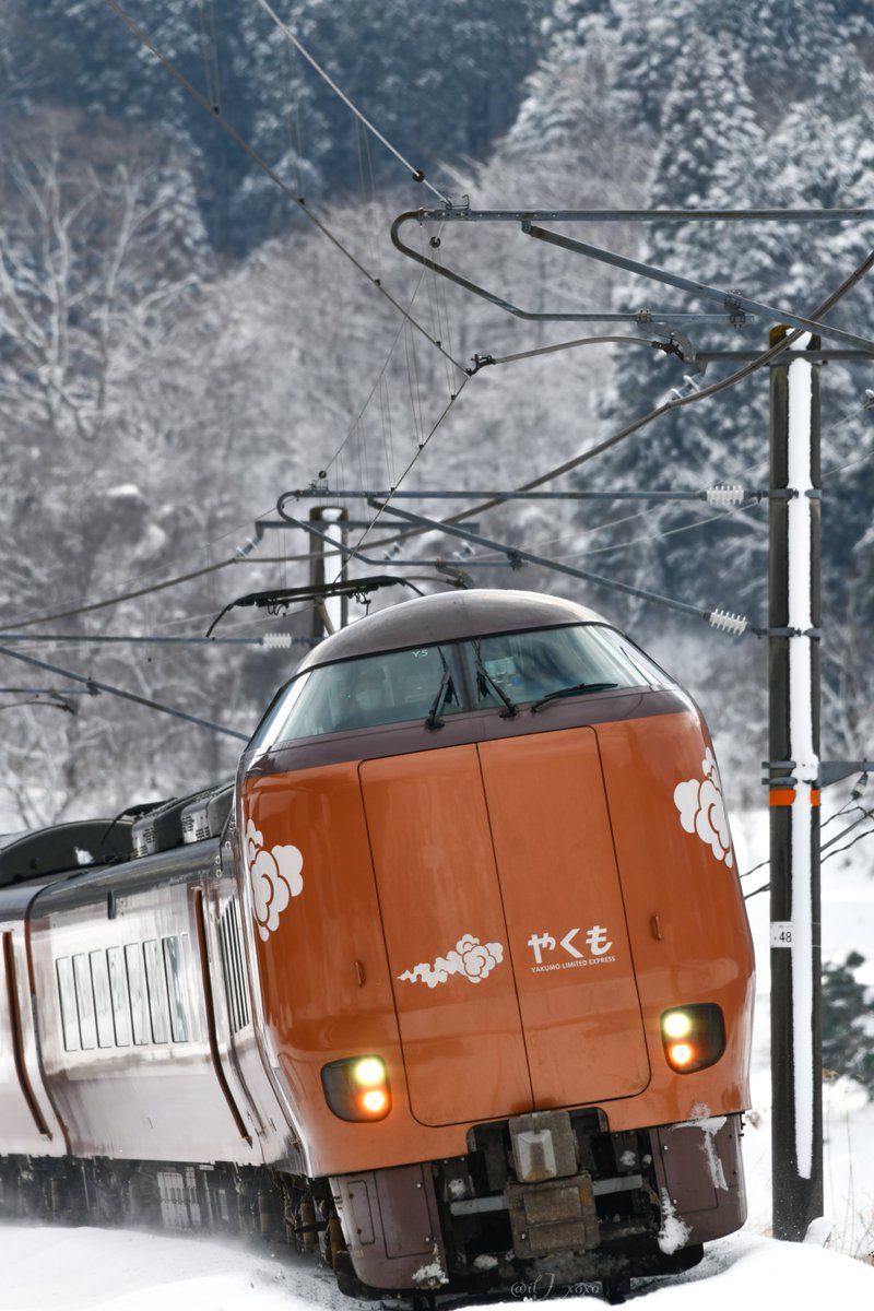 2026/2/9 273系やくも 
振り子の効いたどんぐりちゃん