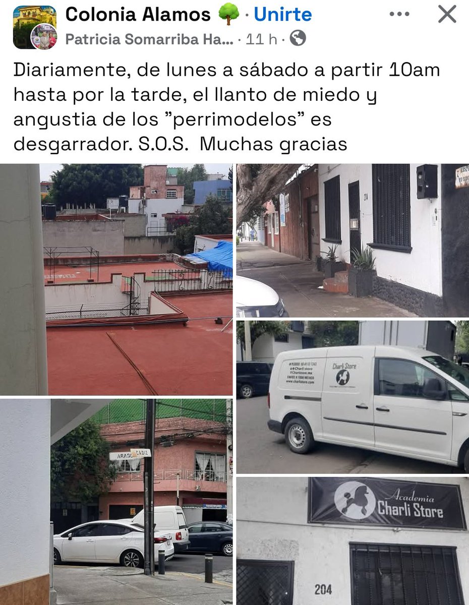 ABRYLHONEY's tweet photo. una casa calle Cádiz (entre Aragón y 5 de Febrero), funciona un negocio venta en línea artículos y productos para perritos. También funciona dando cursos de estética canina, lloran muchísimo los llamados "perrimodelos", envié denuncia a la PAOT, fueron a visitar que todo bien https://t.co/lWyDvTy71Q