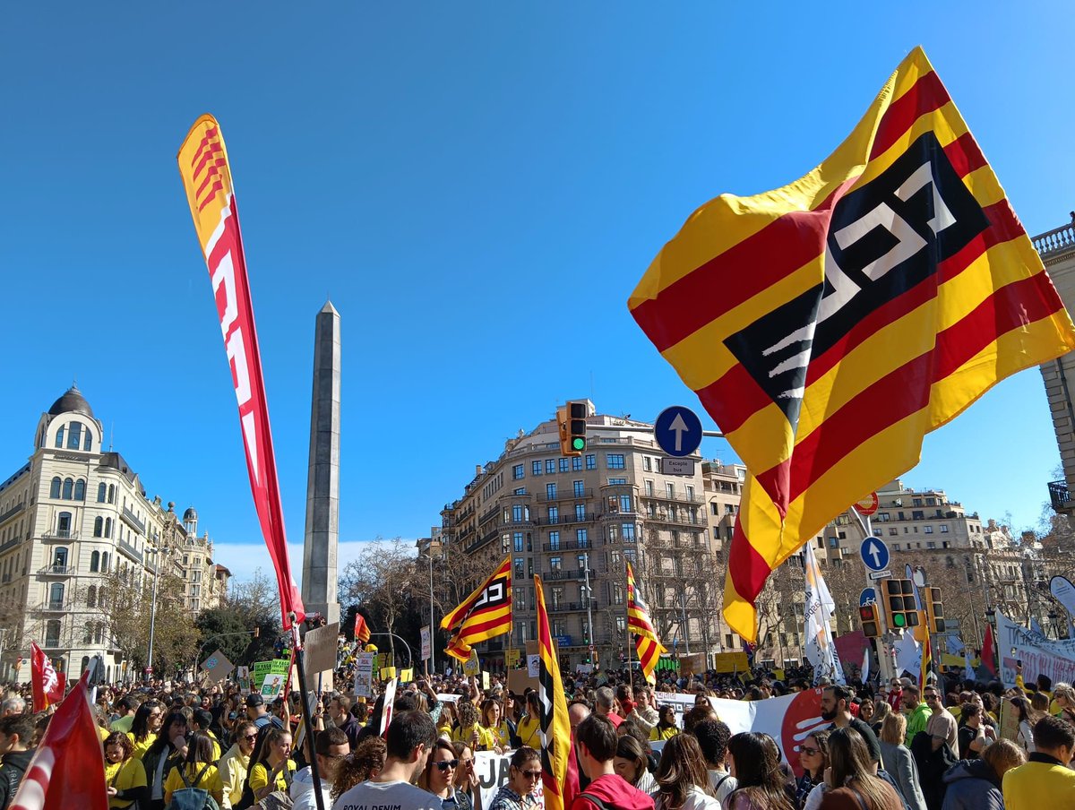 Eduardo Núñez🔻 tweet media