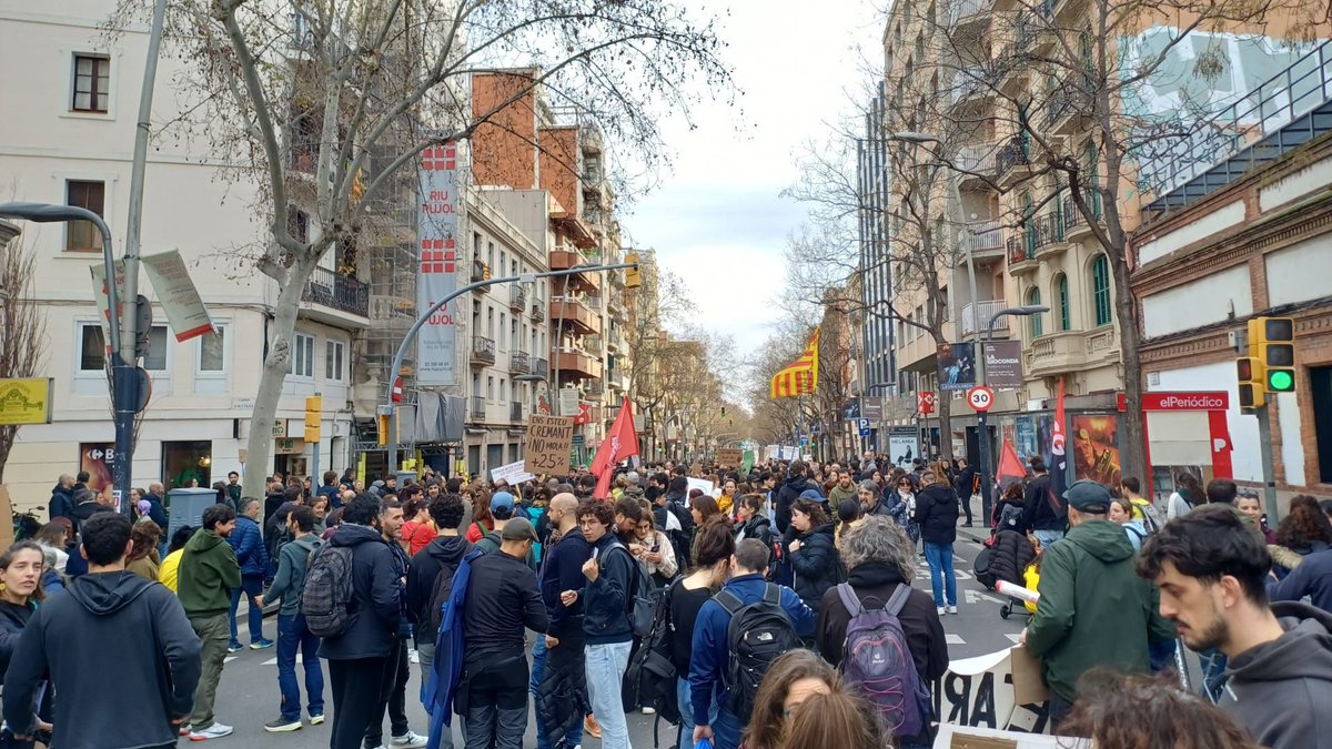 Eduardo Núñez🔻 tweet media