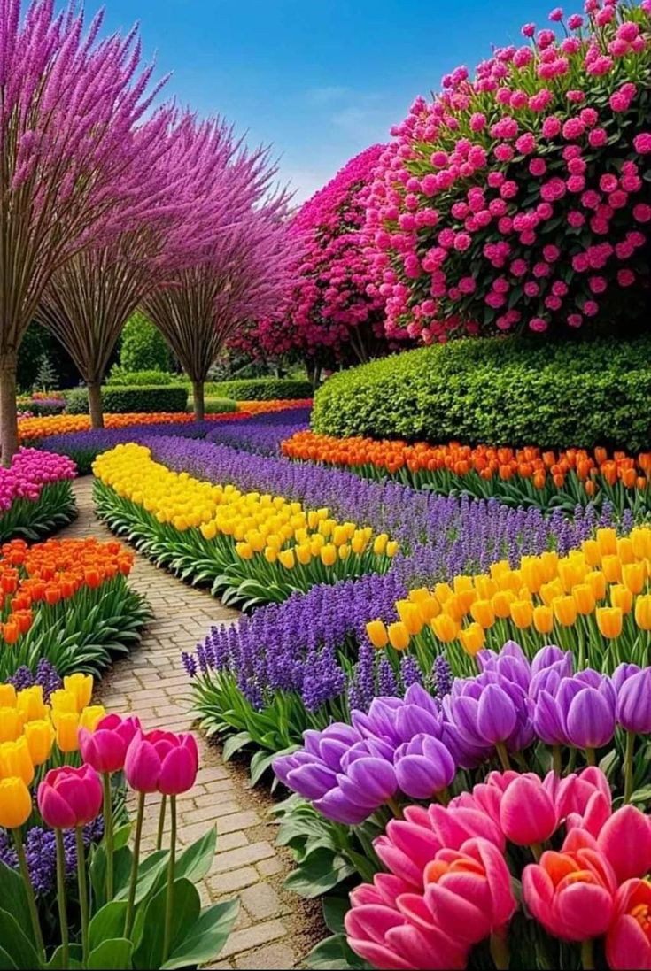 🇬 🇭 🇦 🇿 🇦 🇱 🇦 🇭 tweet media