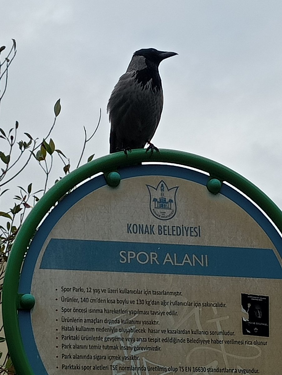 Konuşuyoruz da , ne dediğini anlasam iyi olacak 🧿😊