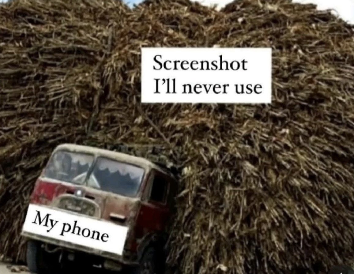 ≽^• ˕ • ྀི≼ tweet media