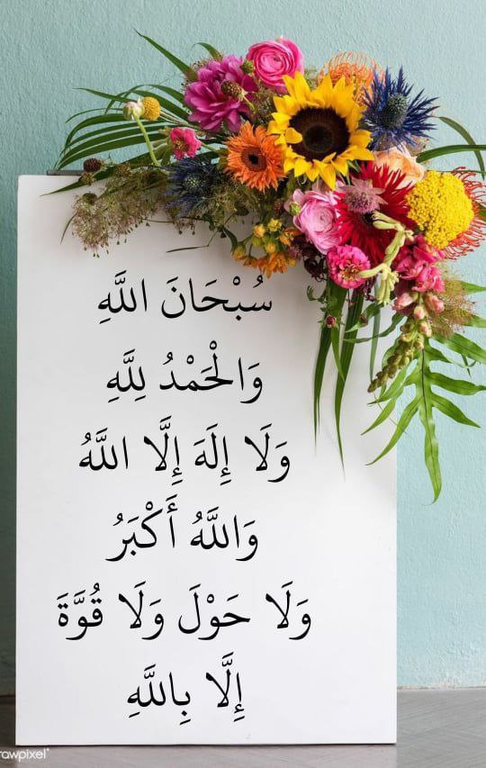 ـ سبحان الله.
ـ الحمدلله
ـ لا إله إلا الله
ـ الله أكبر
ـ سبحان الله وبحمده
ـ سبحان الله العظيم.
ـ لا حول ولا قوة إلا بالله.
ـ أستغفر الله العظيم الذي لا إله إلا هو الحي القيوم و أتوب إليه
ـ اللهم إنك عفو كريم تحب العفو فاعف عنا
ـ اللهم صل وسلم على نبينـا محمد ﷺ.