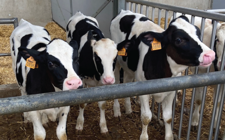 Cows and climate: a complex relationship, too often oversimplified

"In the dairy sector alone, for example, total methane emissions from livestock have decreased by around 21% since 1990"

To read the full article : 
meatthefacts.eu/home/activity/…