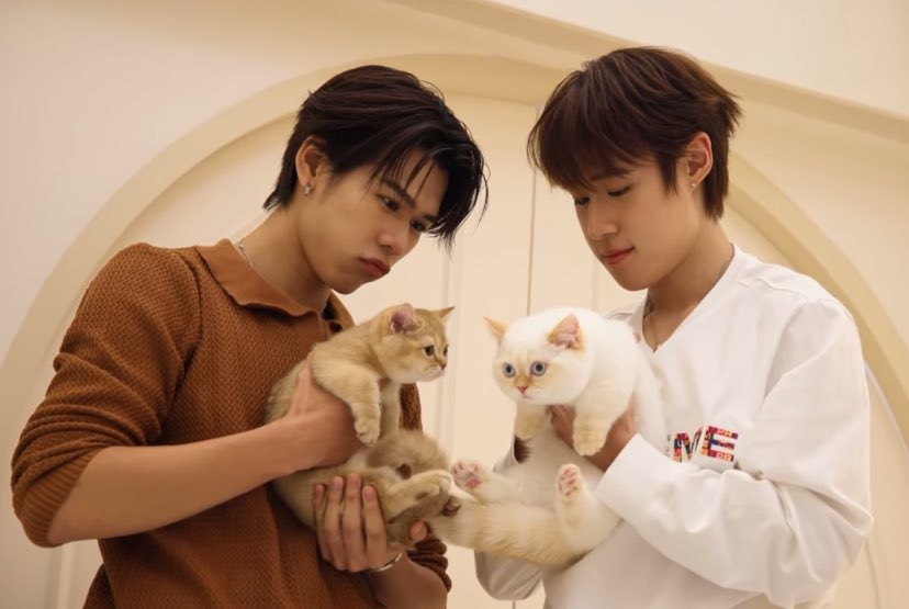 งื้อออ ㅠㅠ 

LYKN MEOW MISSION
#ARMSHAREEP197 
#tuichayatorn #nnutdan #LYKN