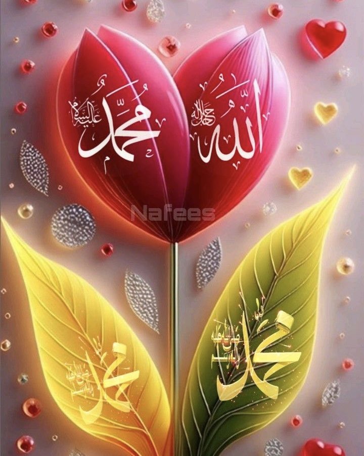 afghan_mr45090's tweet photo. میشه فالوم کنید
بک بدم💝
#فالوبک_تضمینی https://t.co/fluemnMTa2