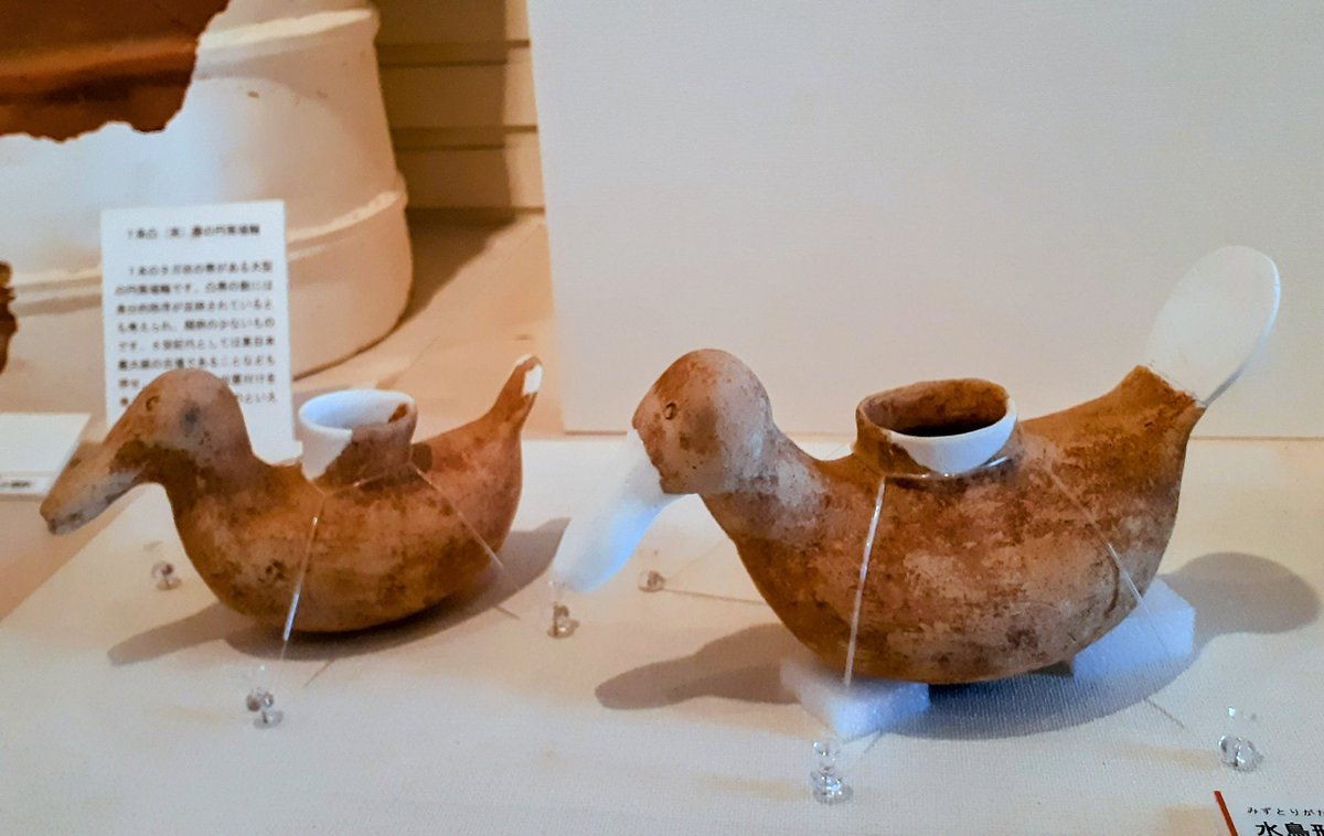 1日だけの展示。 出土した高坏。5世紀前半。 朝顔形埴輪多数。 方形