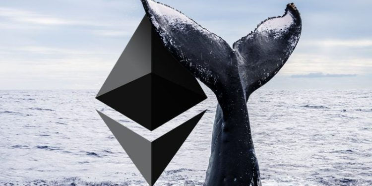 CryptoBlockMind tweet picture