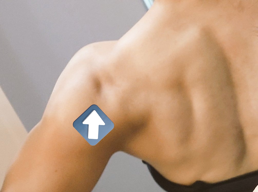 v̆̈ ĭ̈ v̆̈ ĭ̈ tweet media