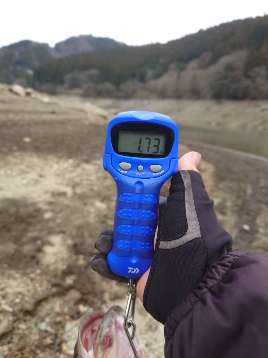 LevelUdon's tweet photo. 昨日、今日と休みだったのでリザーバーへ🎣
10日は朝〜夕方やって沈み蟲で1本、11日は昼〜夕方やってノーバイトでした
見えバスやジョイクロにチェイスがあったのに食わせられなくて悔しいです😓
もっと色々考えないとなぁ🤔
 #愛媛リザーバー 
 #バス釣り https://t.co/hTLsRPhtl0