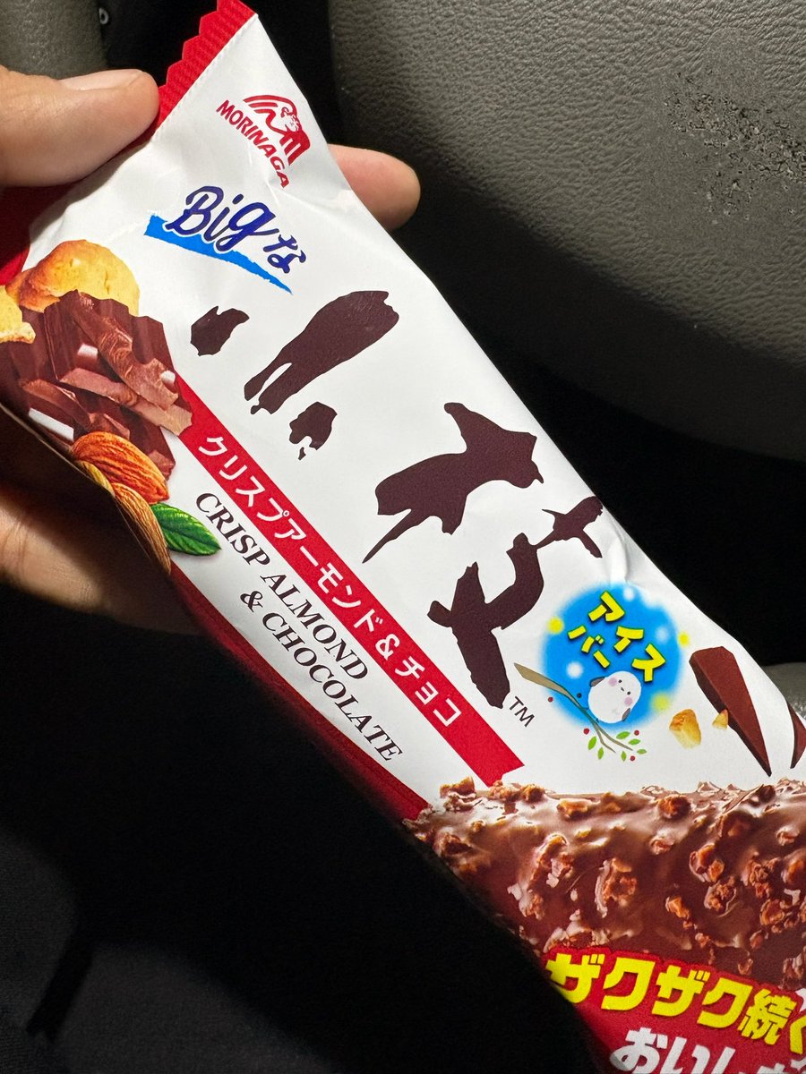 BIGになったら小枝じゃないんだ笑
