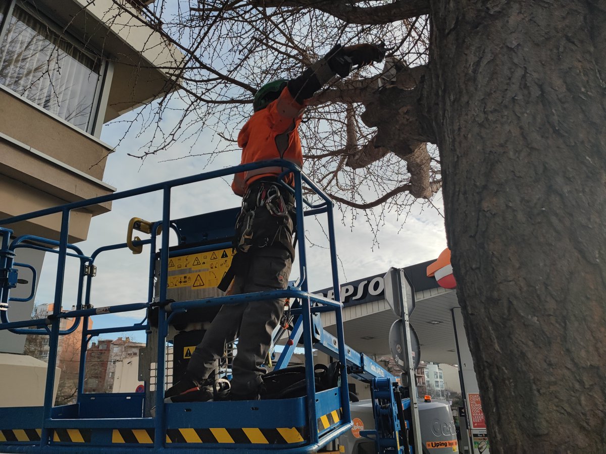 Ajuntament de Girona tweet media