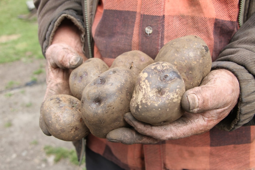 La Inventadera tweet media