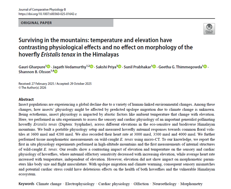 gauri_gharpure's tweet image. I am excited to share the first paper from my PhD work, now published in the Journal of Comparative Physiology B. These were some of the most challenging and my favourite experiments, and I am very happy to see this work come to fruition! (1/n)