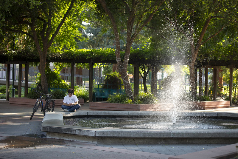 EdInsights tweet media