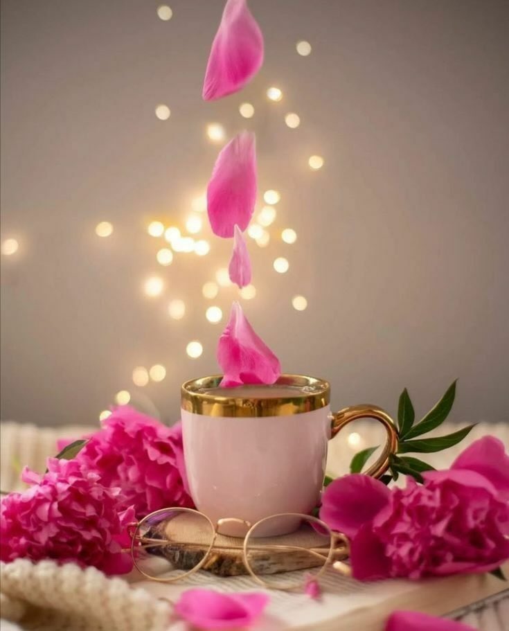 دفء الكلمات ♪🇸🇦 tweet media