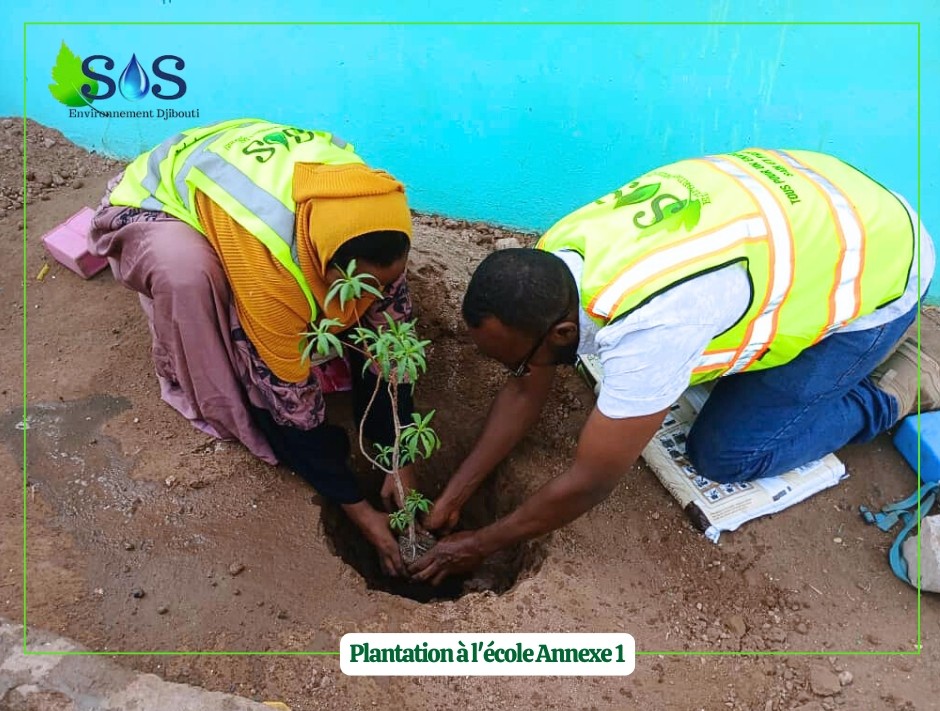 Med Robleh tweet media