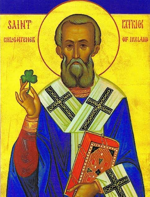 Paddy Trainor tweet media