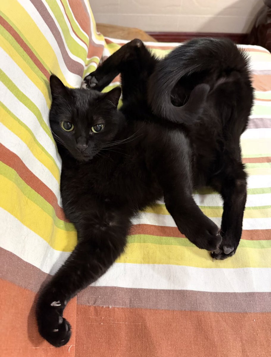 Graceful dance movements