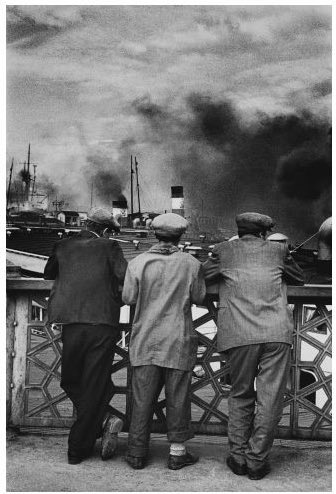 Dr. Mahir Polat tweet media