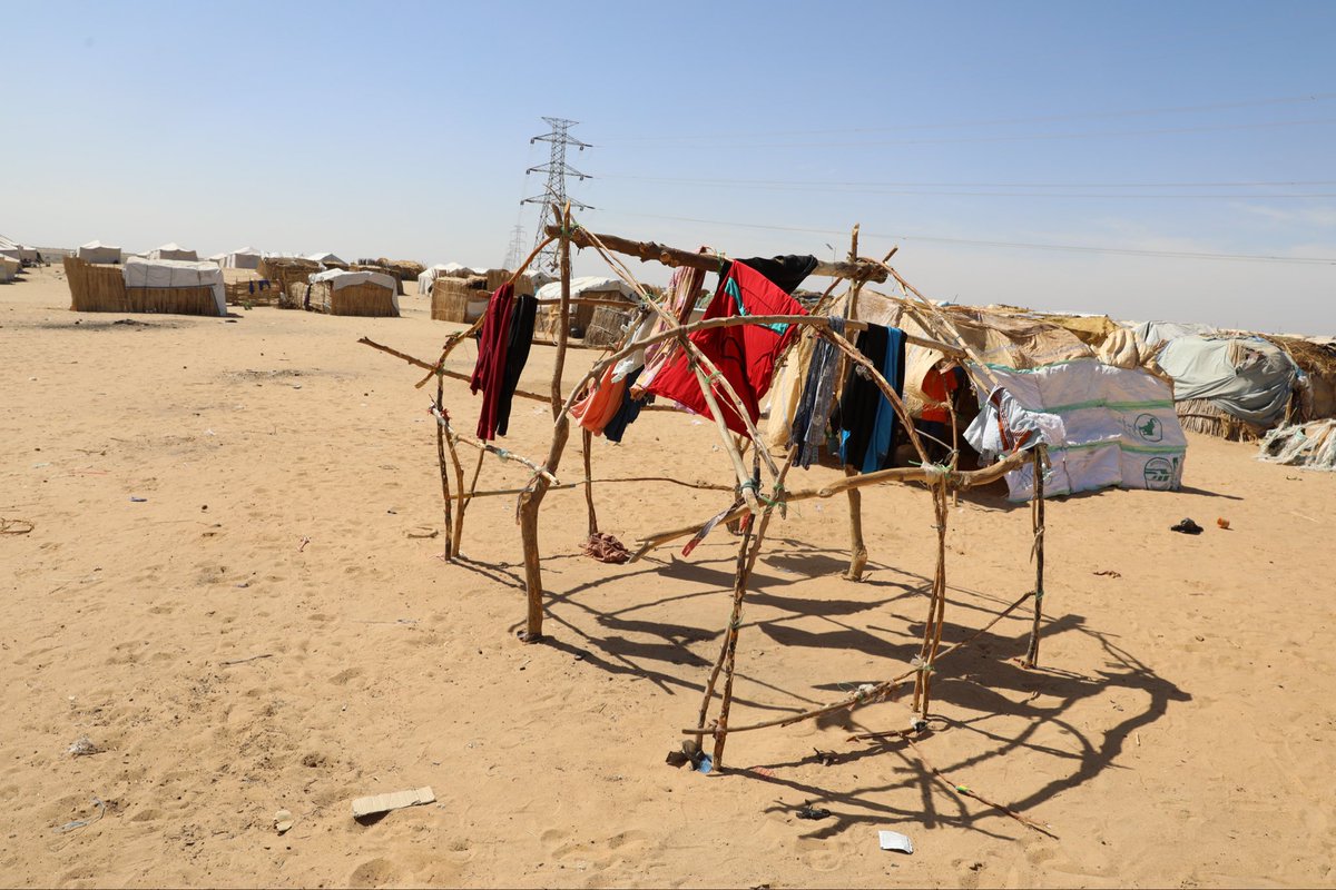 _UnfpaSudan's tweet photo. منذ أكتوبر ٢٠٢٥، اضطر أكثر من ١١٥,٣٠٠ شخص في ولايات كردفان لترك منازلهم. الغالبية العظمى منهم من النساء والأطفال اللذين يعيشون بقليل من الخدمات أو بدون أي دعم. وبحسب النساء اللواتي وصلن إلى ولاية النيل الأبيض فإن جميع ممتلكاتهن قد سلبت خلال رحلة النزوح التي استمرت أكثر من ٤٠ ��وما https://t.co/BnO9lHBXoI