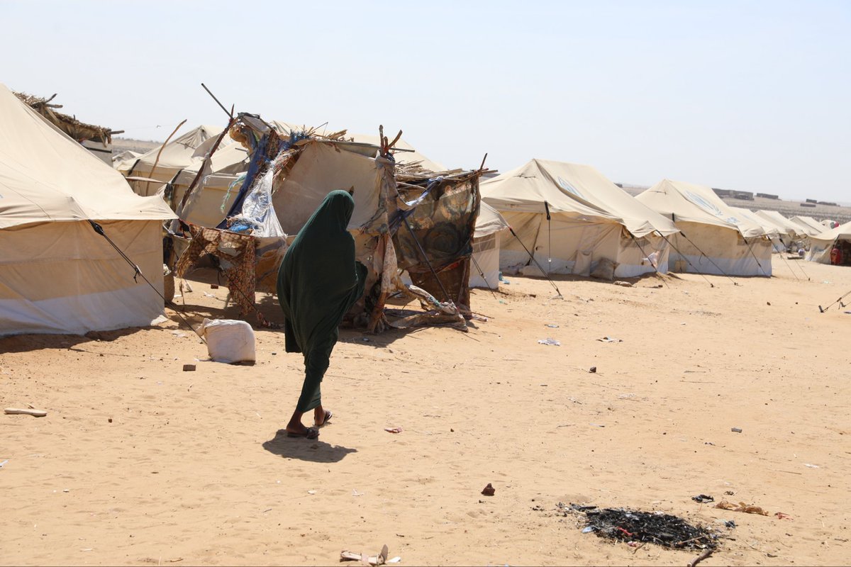 _UnfpaSudan's tweet photo. Since Oct 2025, +115,300 people have been displaced across the Kordofan region. The vast majority are women &amp; girls living with little to no assistance. Those who arrived in White Nile State reported that their belongings were looted during journeys that often lasted +40 days. https://t.co/F0iM05vtUF